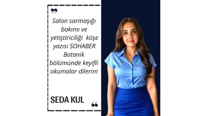 BİTKİLERİN DÜNYASI - SALON SARMAŞIĞI 