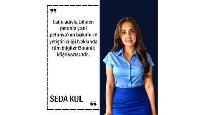 BİTKİLERİN DÜNYASI - PETUNYA -