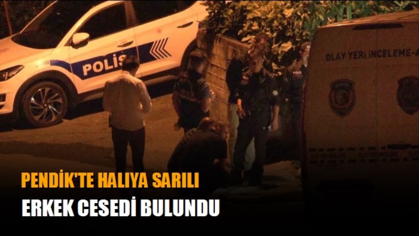 Pendik'te halıya sarılı erkek cesedi bulundu - İstanbul haber