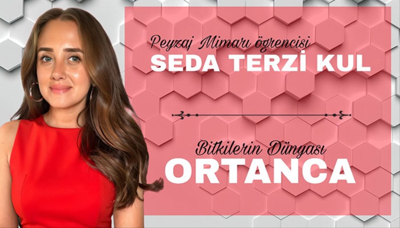 BİTKİLERİN DÜNYASI - ORTANCA -