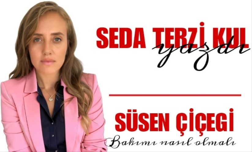 BİTKİLERİN DÜNYASI