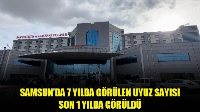 Samsun'da 7 yılda görülen uyuz sayısı son 1 yılda görüldü
