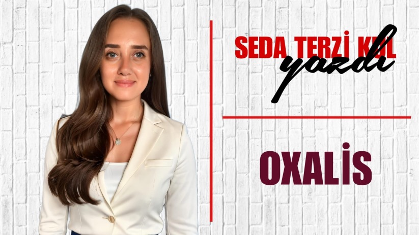 MOR SÜS YONCASI
