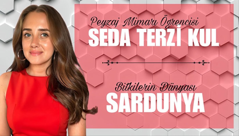 BİTKİLERİN DÜNYASI - SARDUNYA -